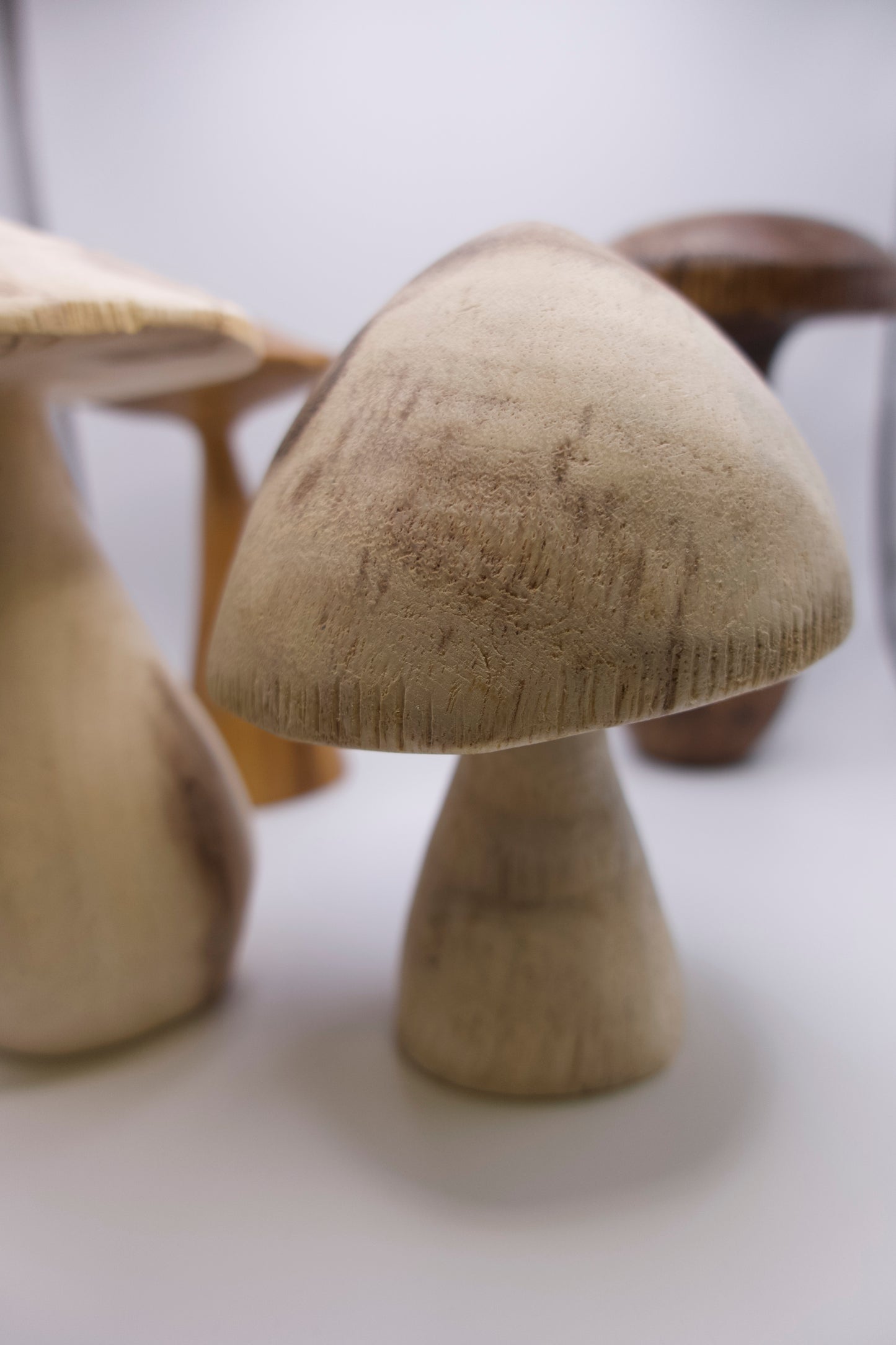 Wooden Mushroom