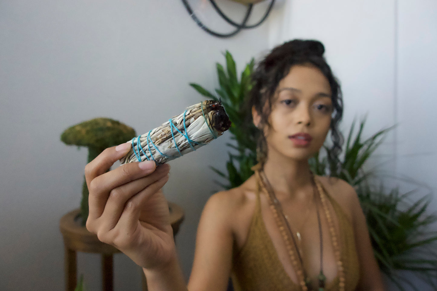 Sage Bundle