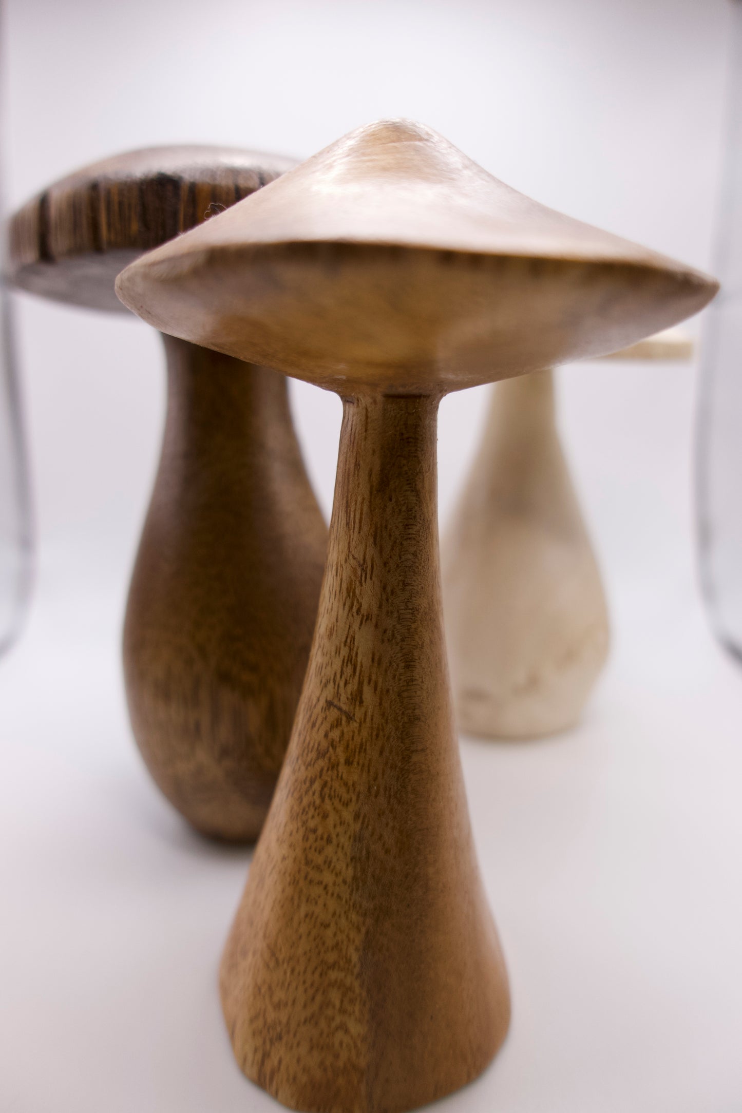 Wooden Mushroom