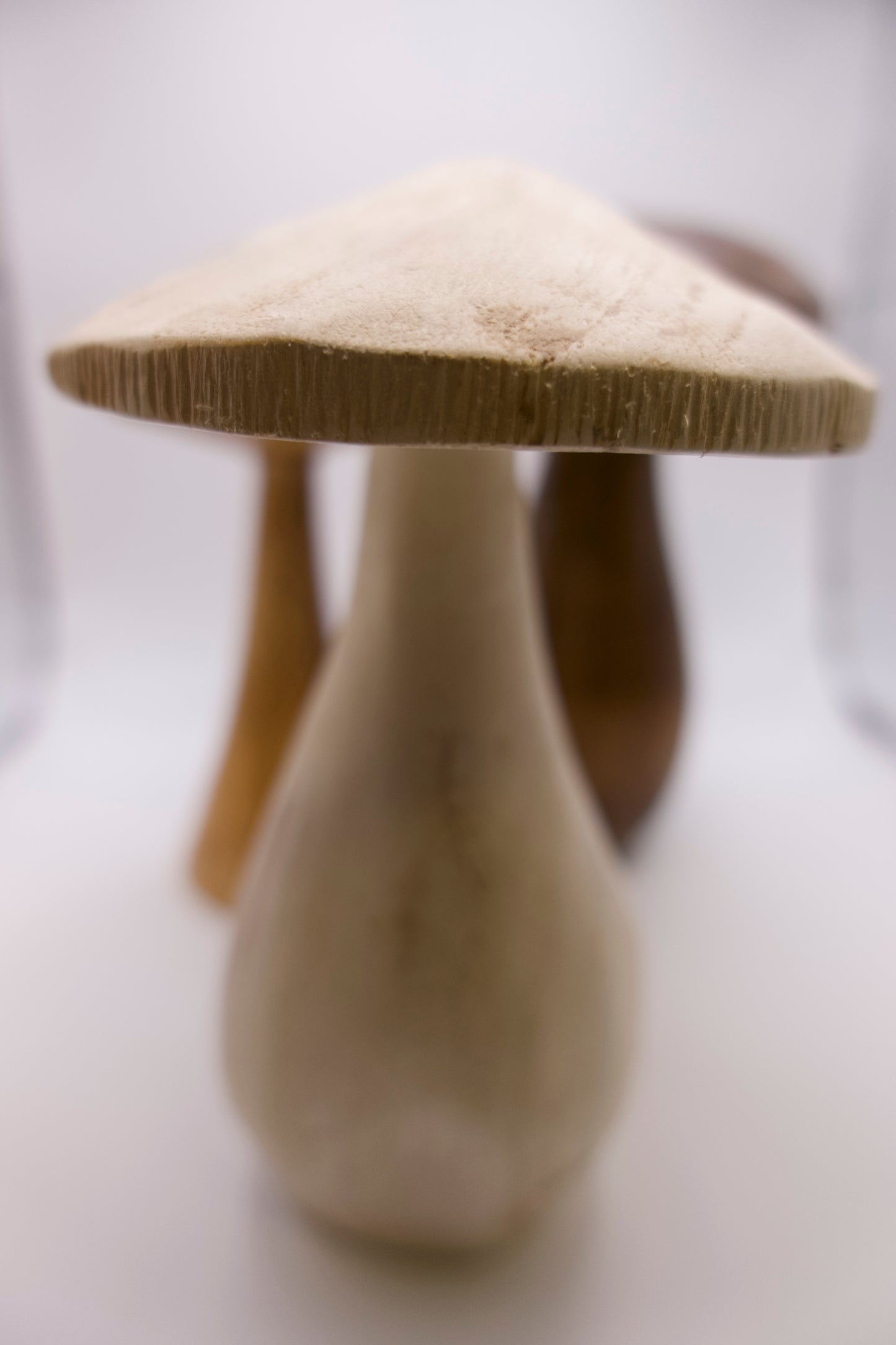 Wooden Mushroom