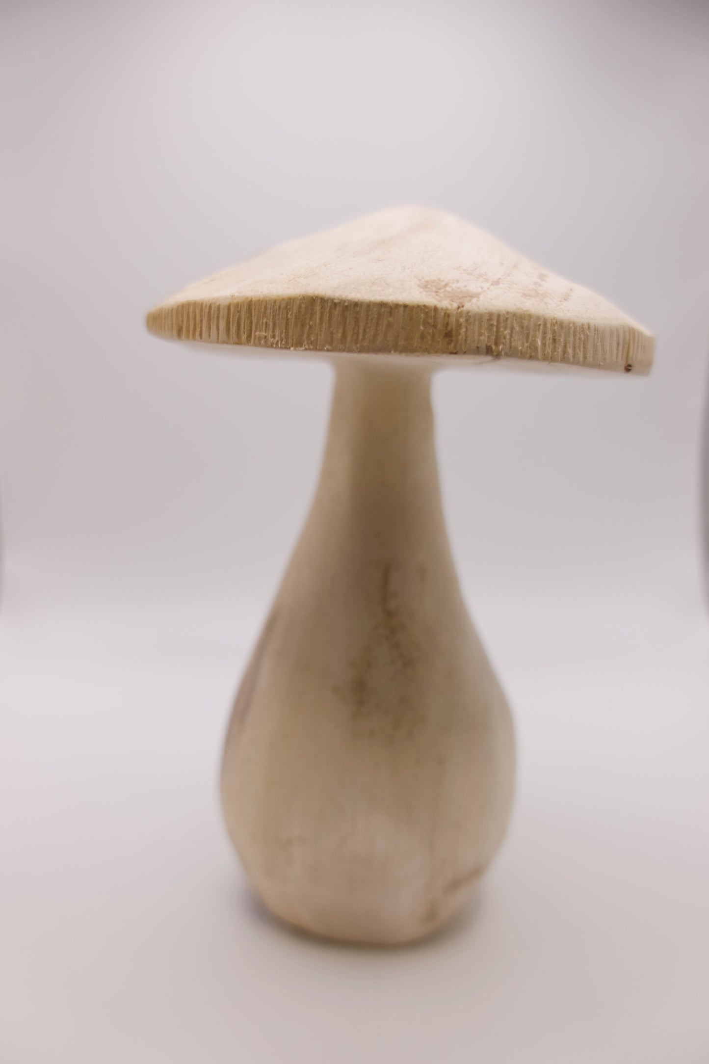 Wooden Mushroom