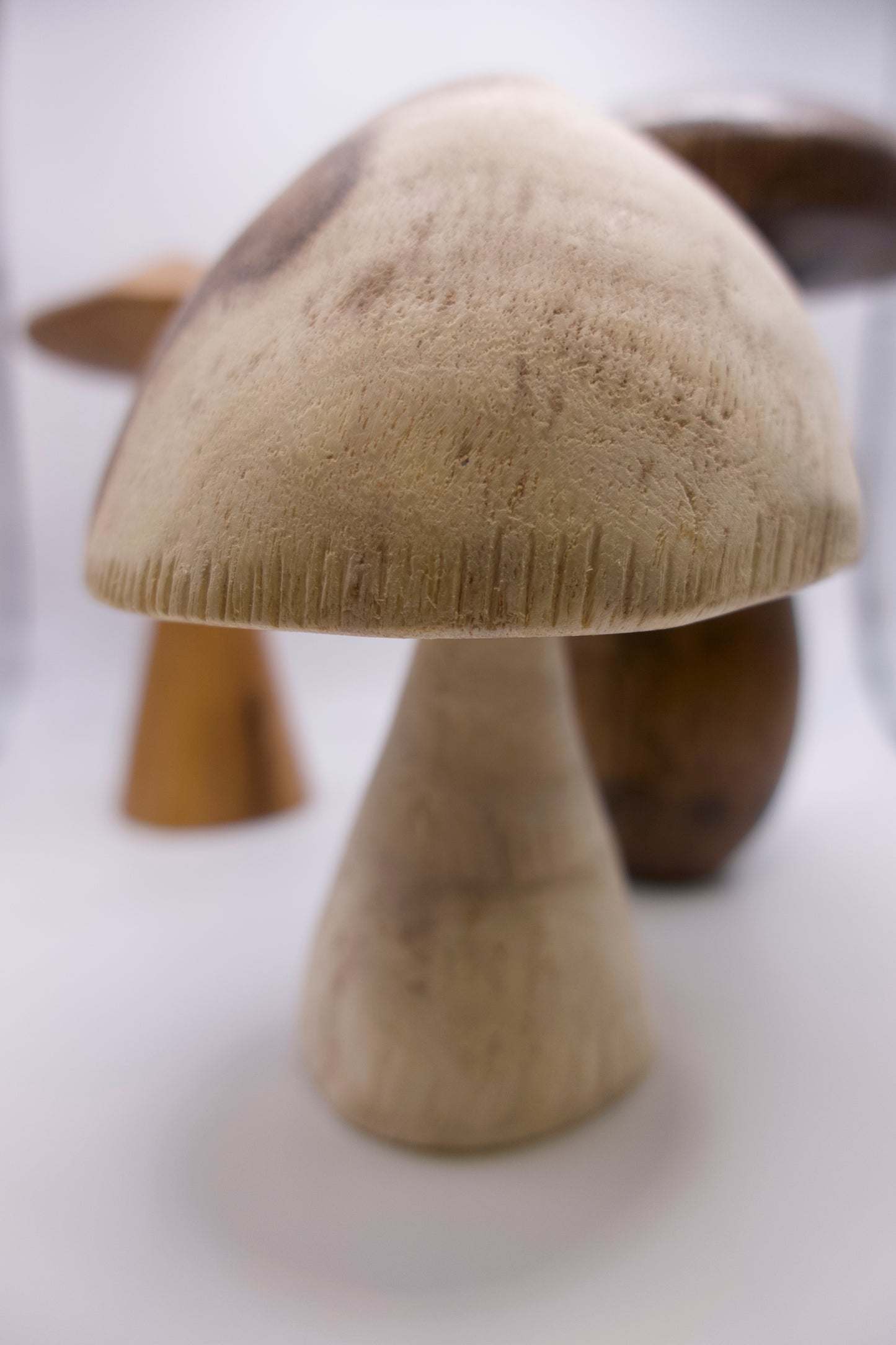 Wooden Mushroom